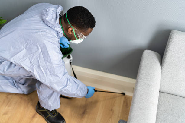 Best Residential Pest Control  in Harrison, MI